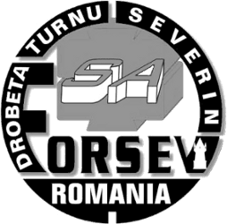 Logo von SC FORSEV SA