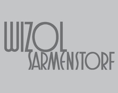 Wizol AG logo