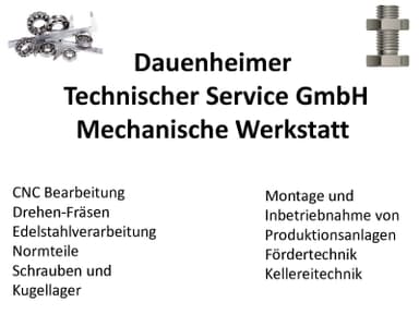 DTS Dauenheimer Technischer Service GmbH logo