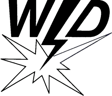 Werner Desch – Formenbau & Erodiertechnik logo