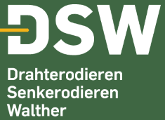 DSW logo