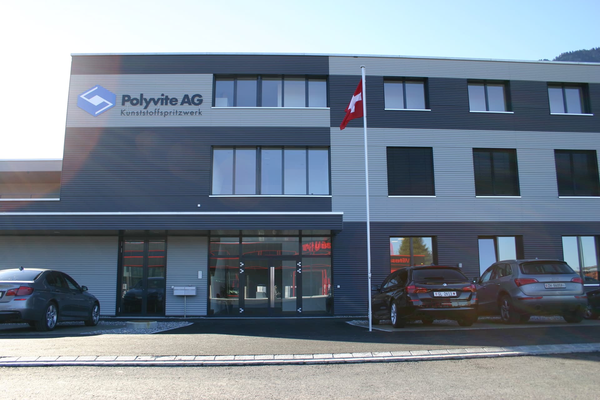 Polyvite AG