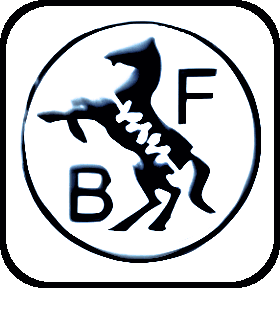 Baldim Federn OOD logo