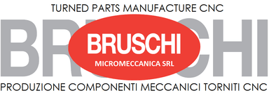 Bruschi micromeccanica srl logo