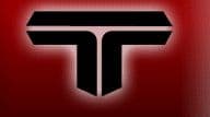Logo von Wolfgang Terschl GmbH & Co. KG