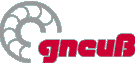 Gneuß Kunststofftechnik GmbH logo