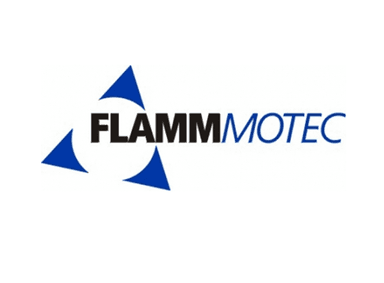 FLAMMMotec GmbH & Co. KG logo