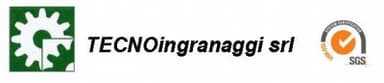 Tecnoingranaggi S.r.l.<br>Gearing production - Brescia logo