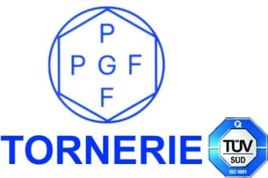 P.G.F. di Pelissero Srl logo