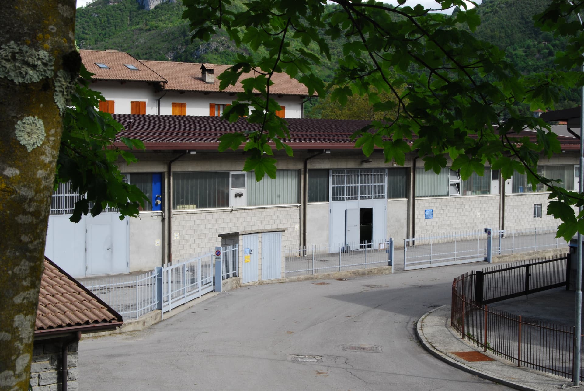 Viglienghi srl