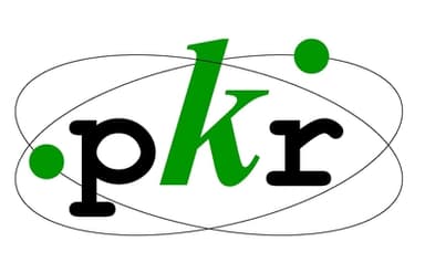 Pronik PKR S.r.l. logo