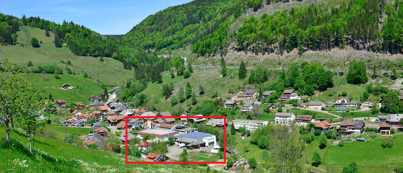 Waldkraft GmbH