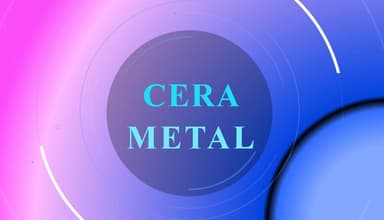 SC CERA METAL SRL logo