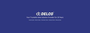 DELCO VALVE CO., LTD logo